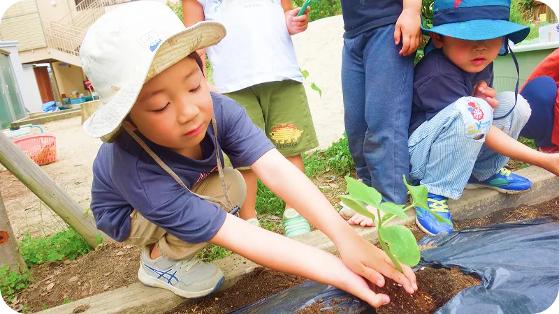 子どもたちが土を触りながら、野菜の収穫や土あそびを楽しんでいる様子