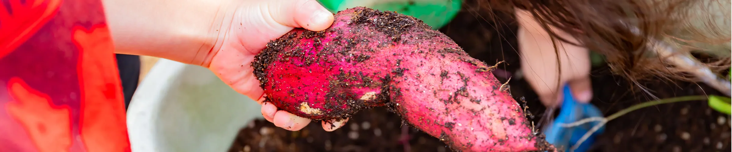 ページヘッダー